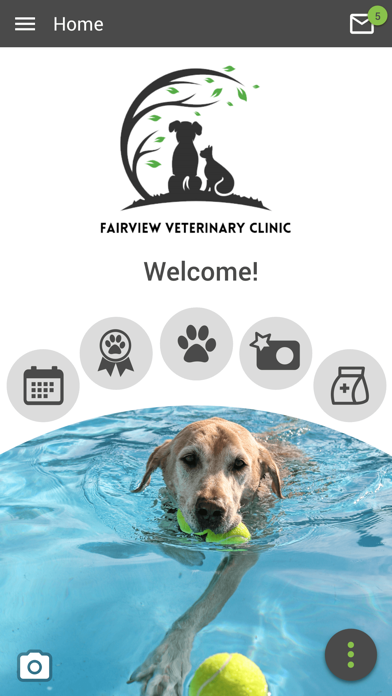 Fairview Veterinary Clinic Screenshot
