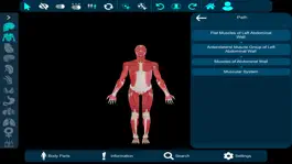Game screenshot Vesalii Anatomy Inst Student hack