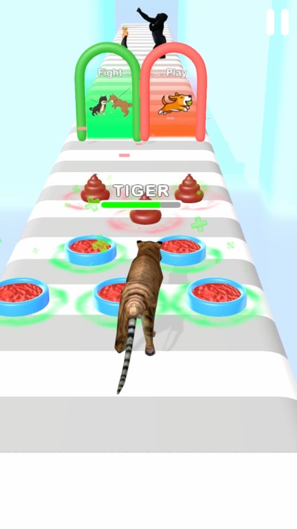 Animal Run 3D!!