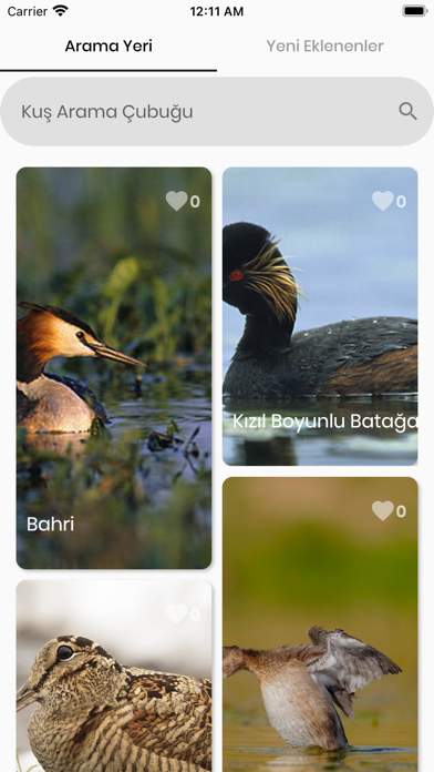 Kızılırmak Kuşları Screenshot