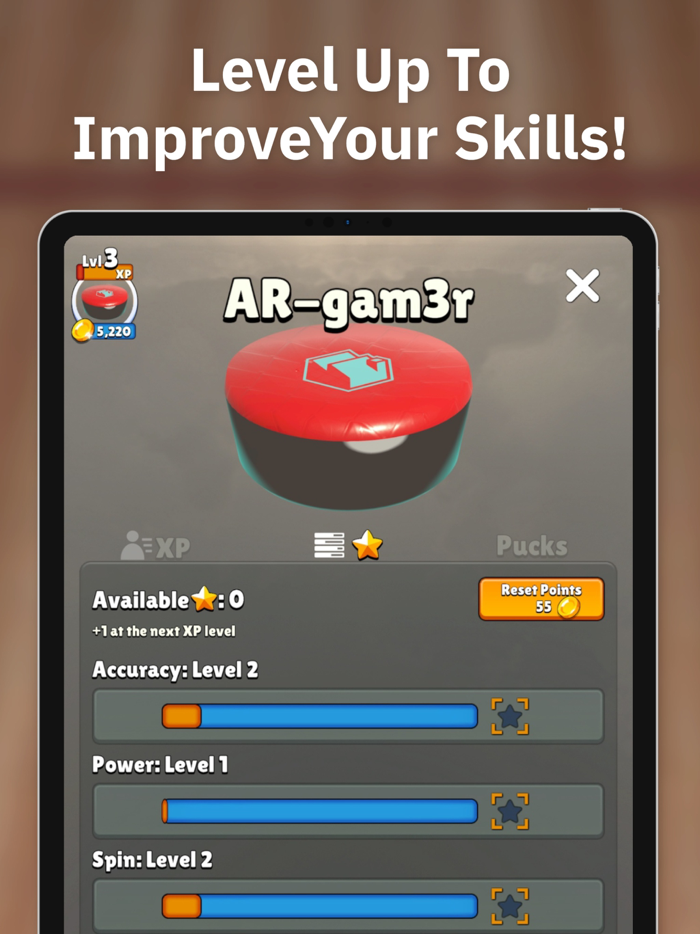 Tabletop Shuffleboard