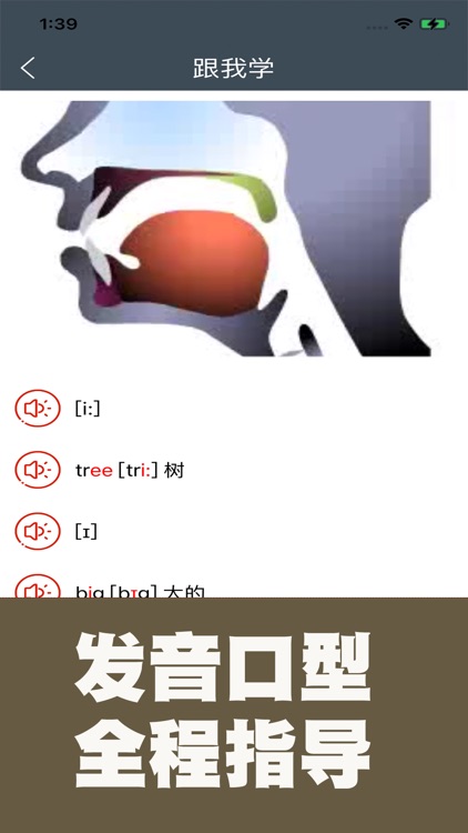 小学英语自然拼读课堂 screenshot-3