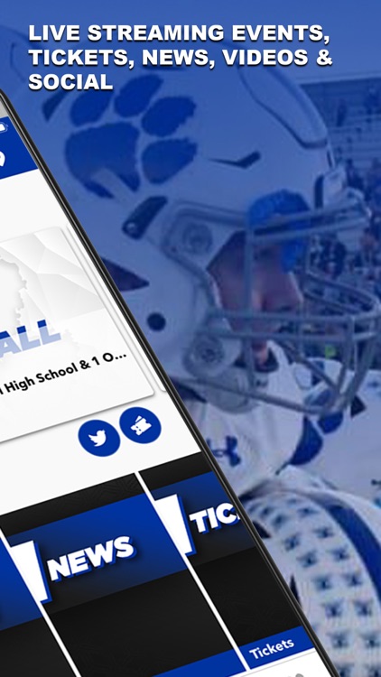 Hilliard Davidson Wildcats