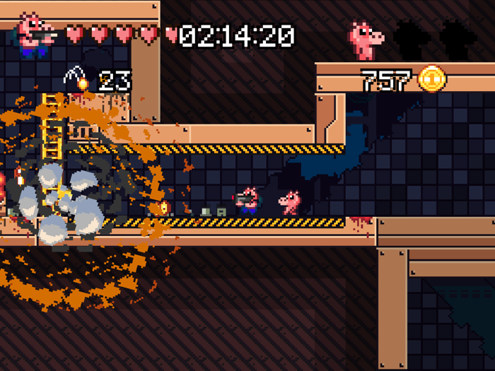 Ammo Pigs Armed and Delicious