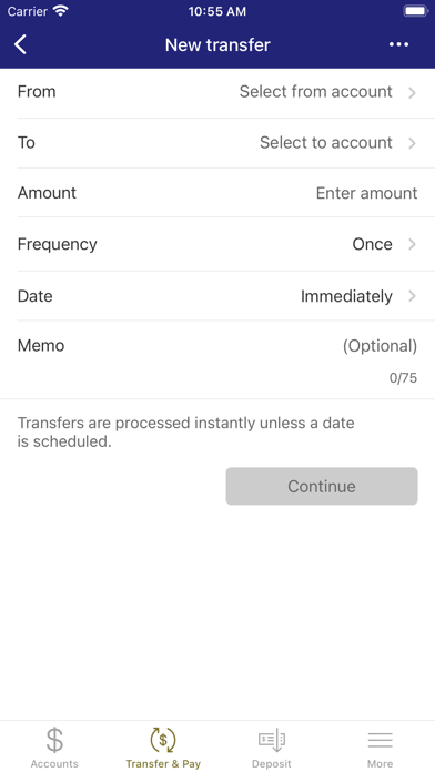 Blue Chip FCU Screenshot
