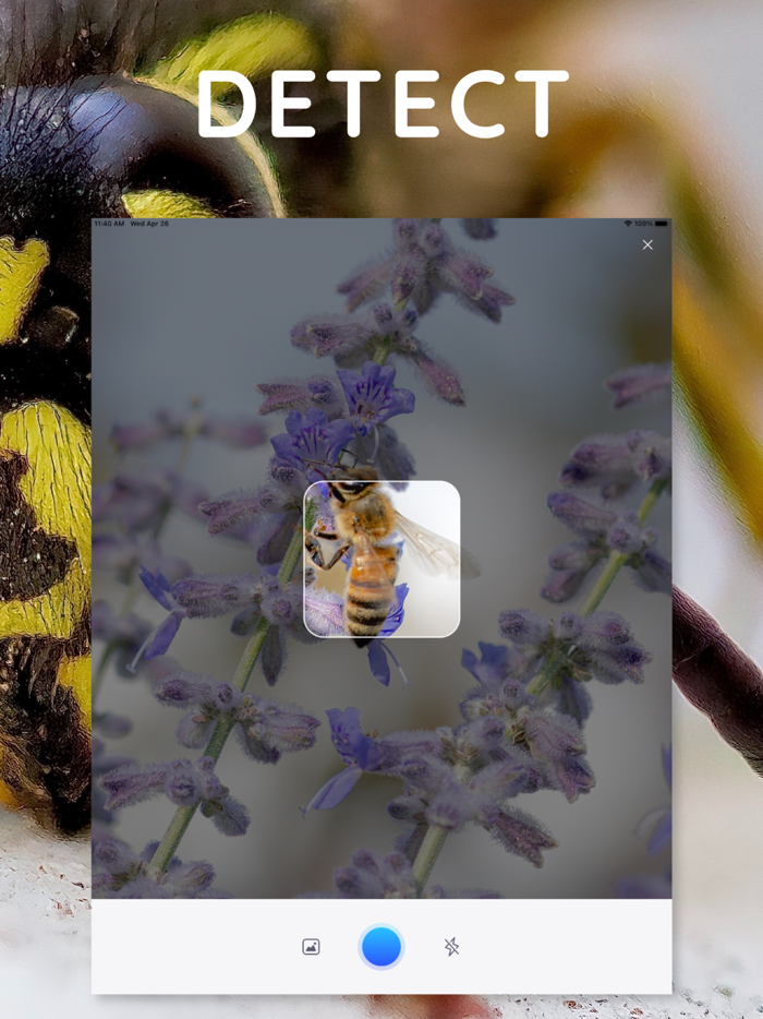 AI Photo App - Bug Identifier