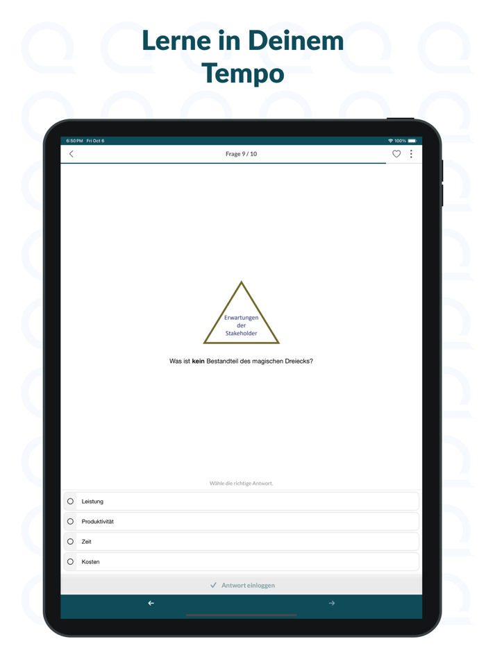 IPMA Projektmanagement Trainer