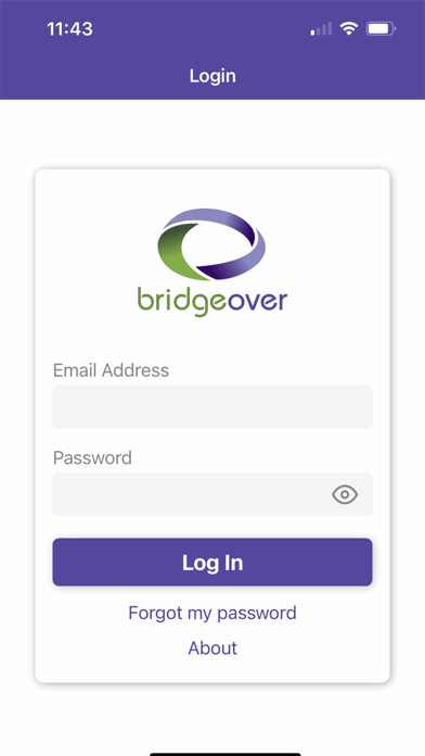 BridgeOver Screenshot