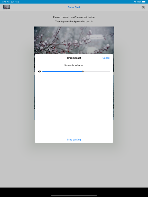 Screenshot #6 pour Snowfall on TV for Chromecast