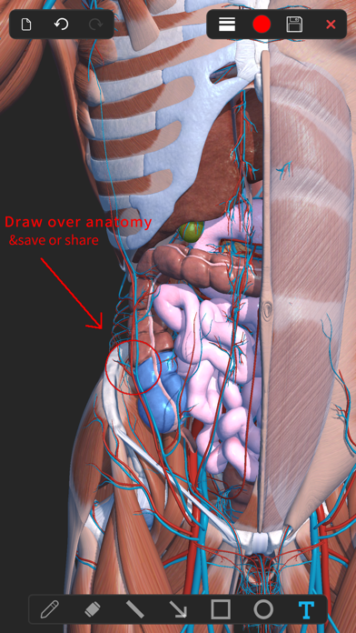 Visual Anatomy 3D - Human Screenshot