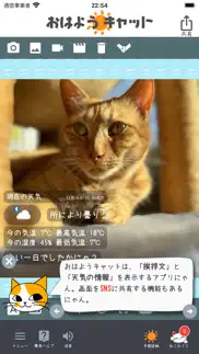 おはようキャット - 天気予報 iphone screenshot 3