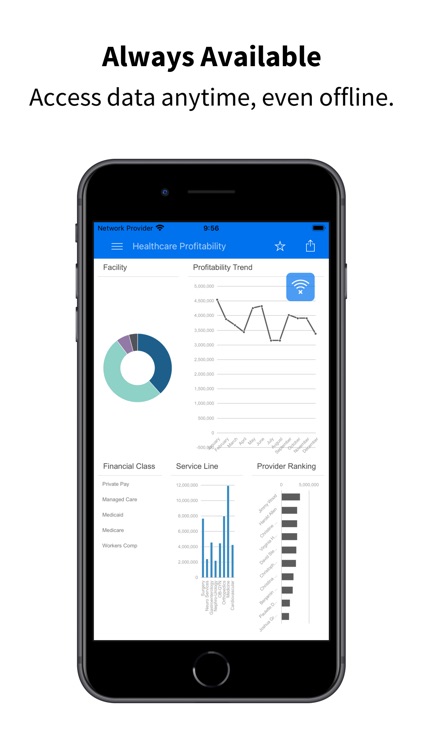Infor EPM screenshot-4