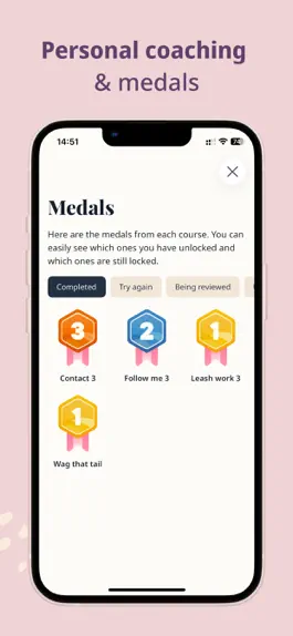 Game screenshot Petli:Dog Training & Community hack