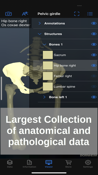 Dornheim Real Anatomy Screenshot