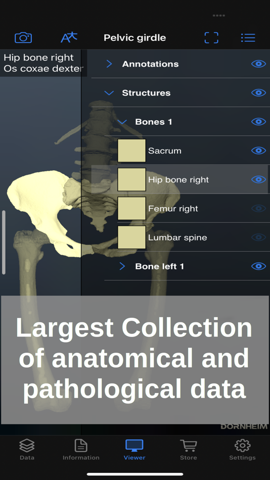 Dornheim Real Anatomy - 1.3 - (iOS)