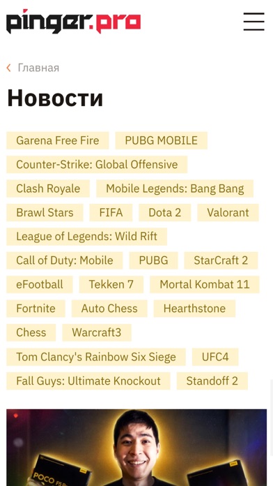 Pinger.Pro Screenshot