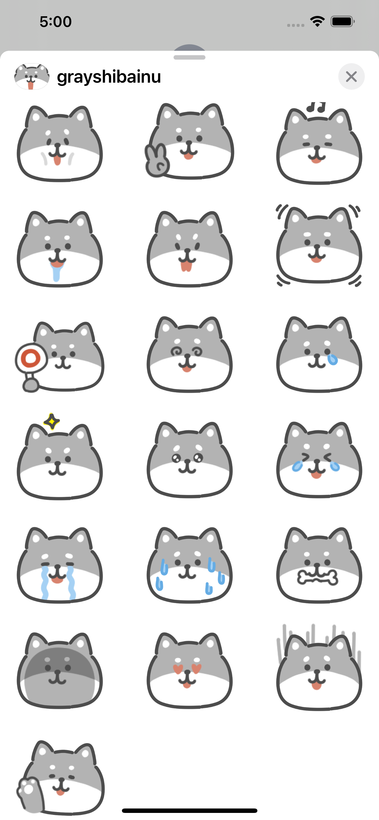 gray shiba inu sticker