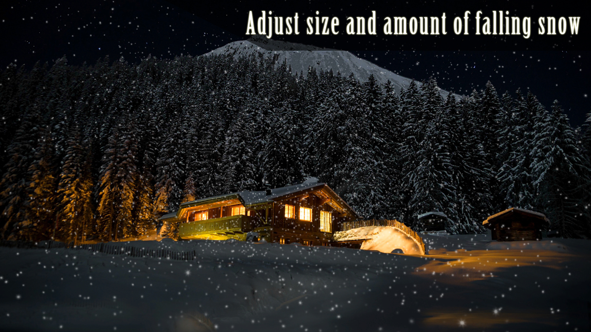 Peaceful Snowfall