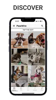 pawwire iphone screenshot 1