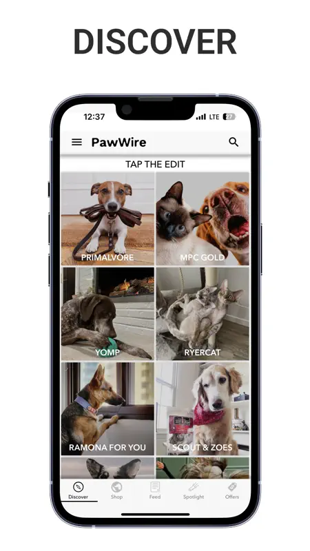 PawWire screenshot 1 of 6