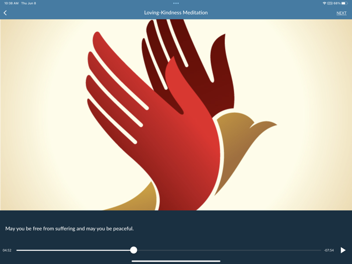 Mindfulness Explorer Pro