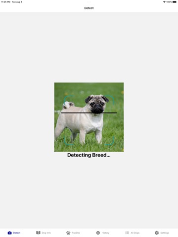 Dog Breed Identifier - PupDexのおすすめ画像9