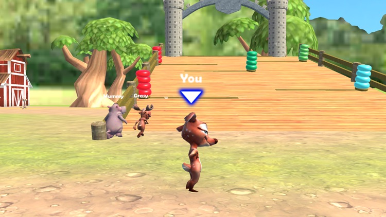 Animals Race Fun Game 3d