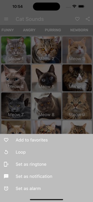 Cat Sounds::Appstore for Android