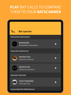 BatLib screenshot 4