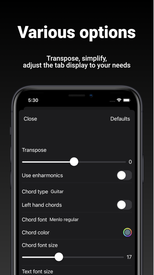 #5. GuitarTab - Tabs & chords Pro (macOS) 由: Markus Schiessl