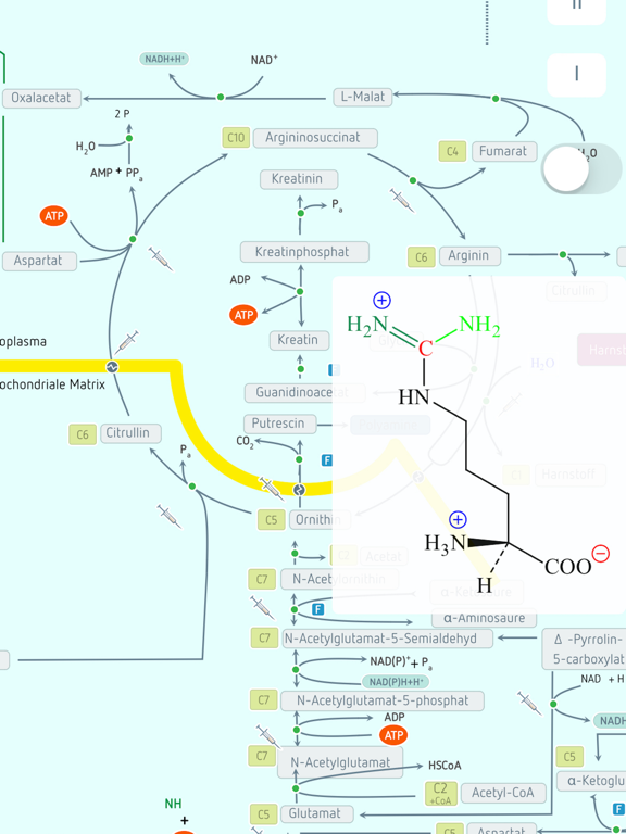 Screenshot #4 pour Biochimie
