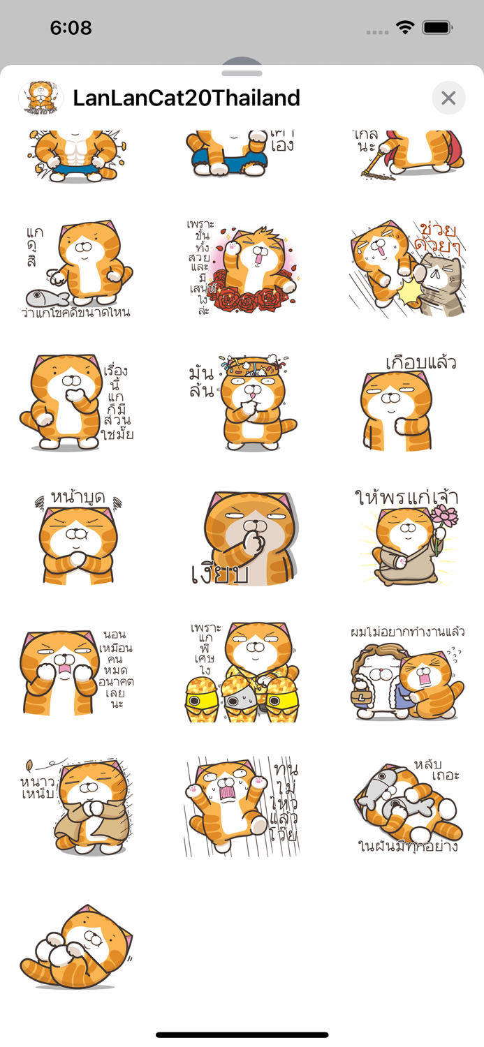 Lan Lan Cat 20 Thailand