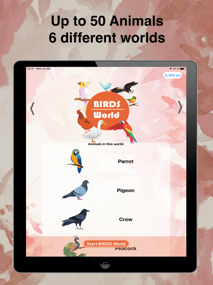 Animal Sounds to Imitate