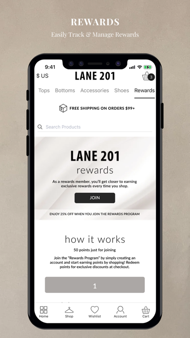 Lane 201 Screenshot