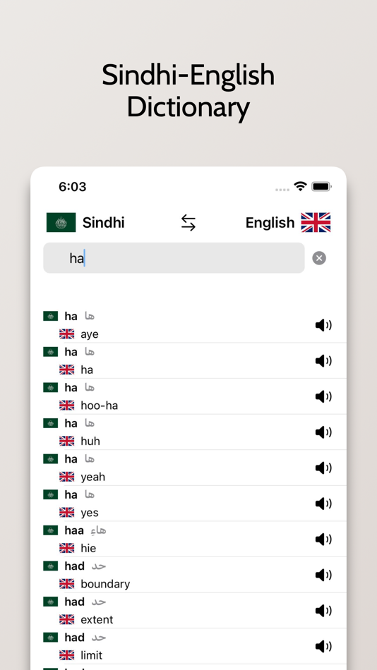 #4. Sindhi-English Dictionary (iOS) Podle: FB PUBLISHING LLC