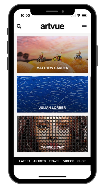 ArtVue screenshot-4