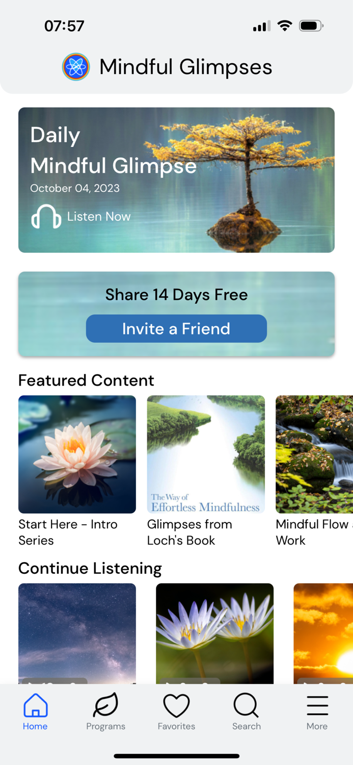 Mindful Glimpses Meditation