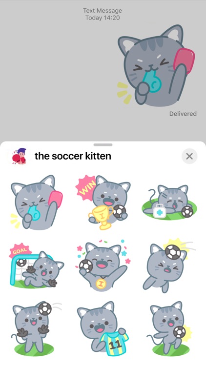 the soccer kitten