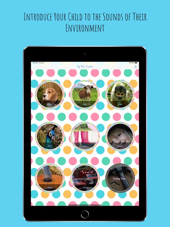 Animal Sounds - Babies & Kids