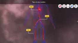 vascular system iphone screenshot 2