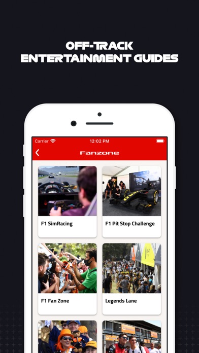 F1 Race Guide Screenshot