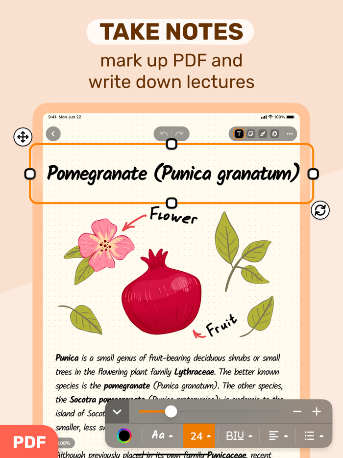 Digital Notebook - Note Taking