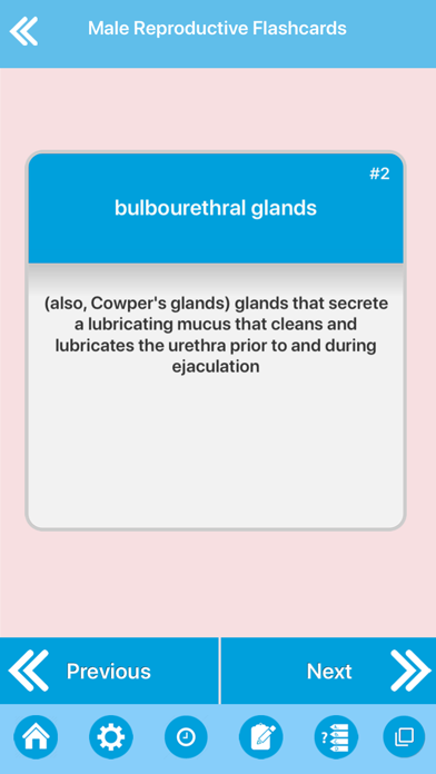 Male Reproductive System Screenshot