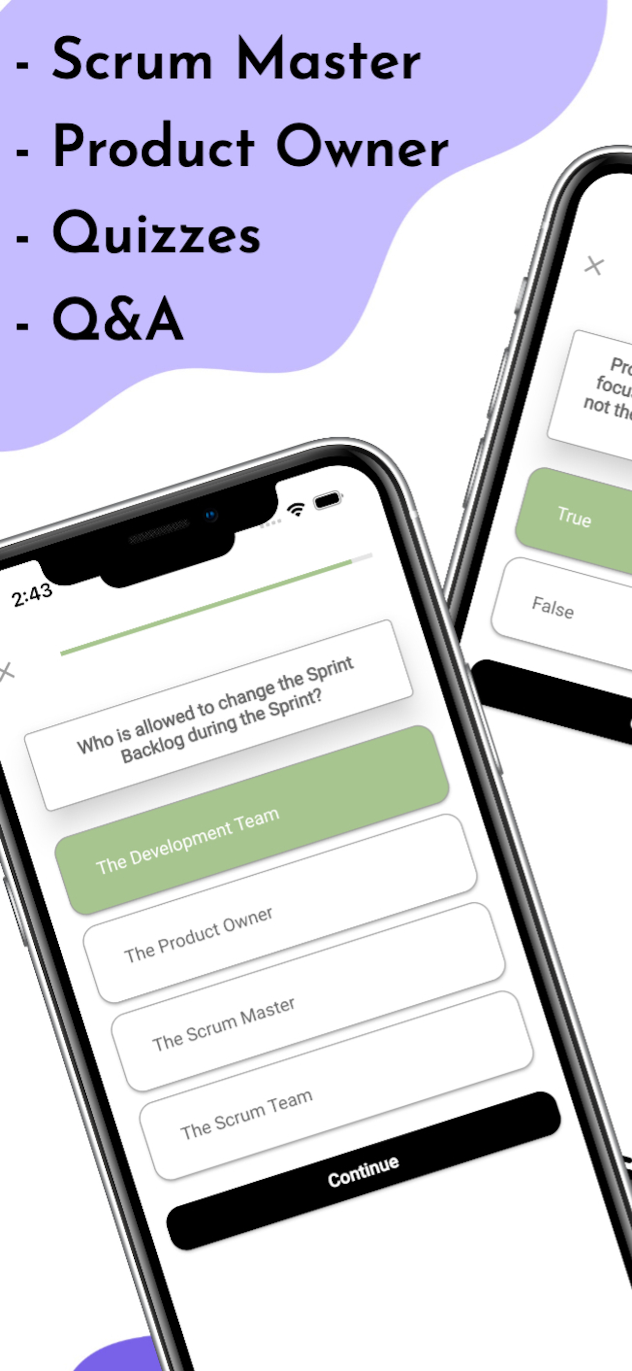 Scrum Certification Tests