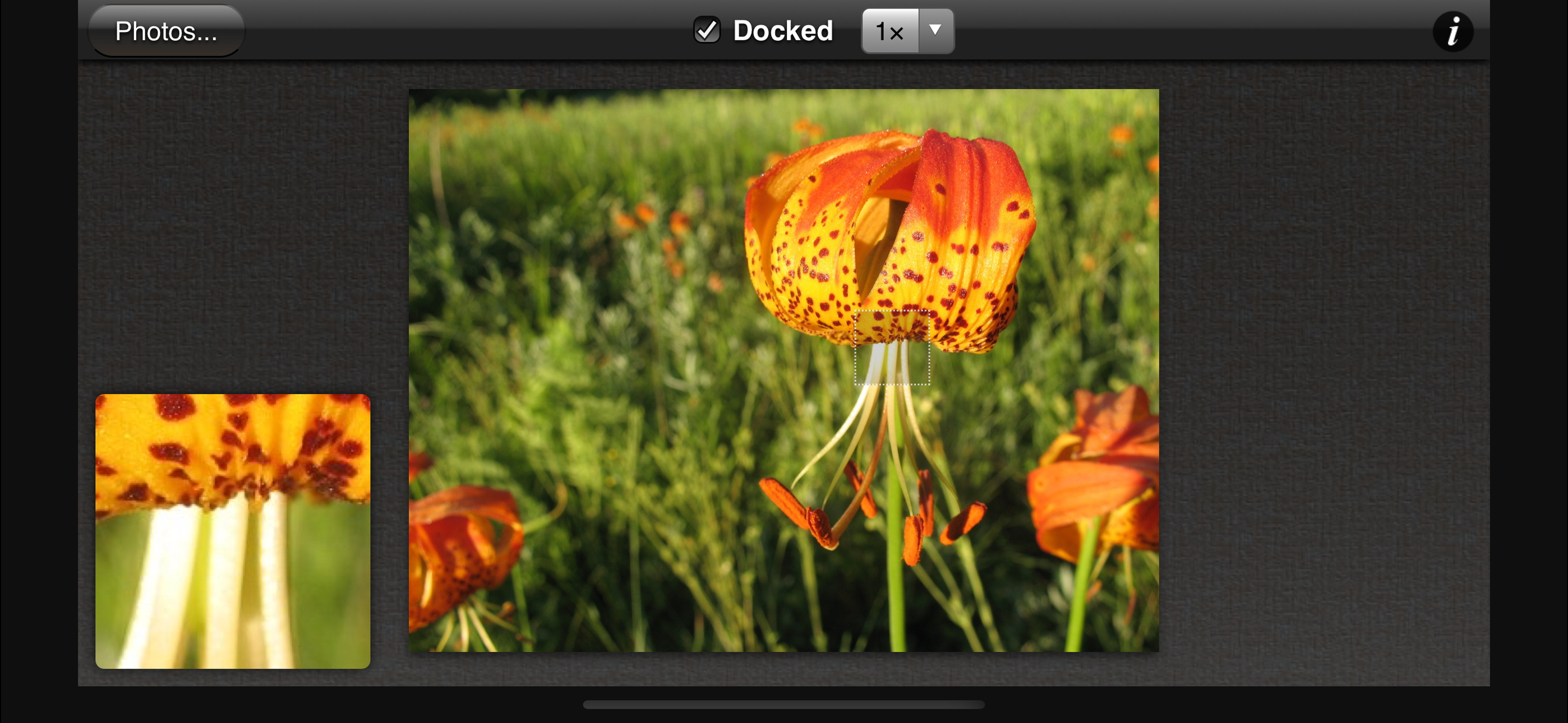 Photo Loupe screenshot 4