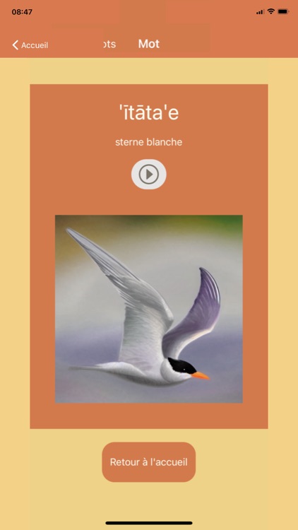 Māramarama screenshot-4