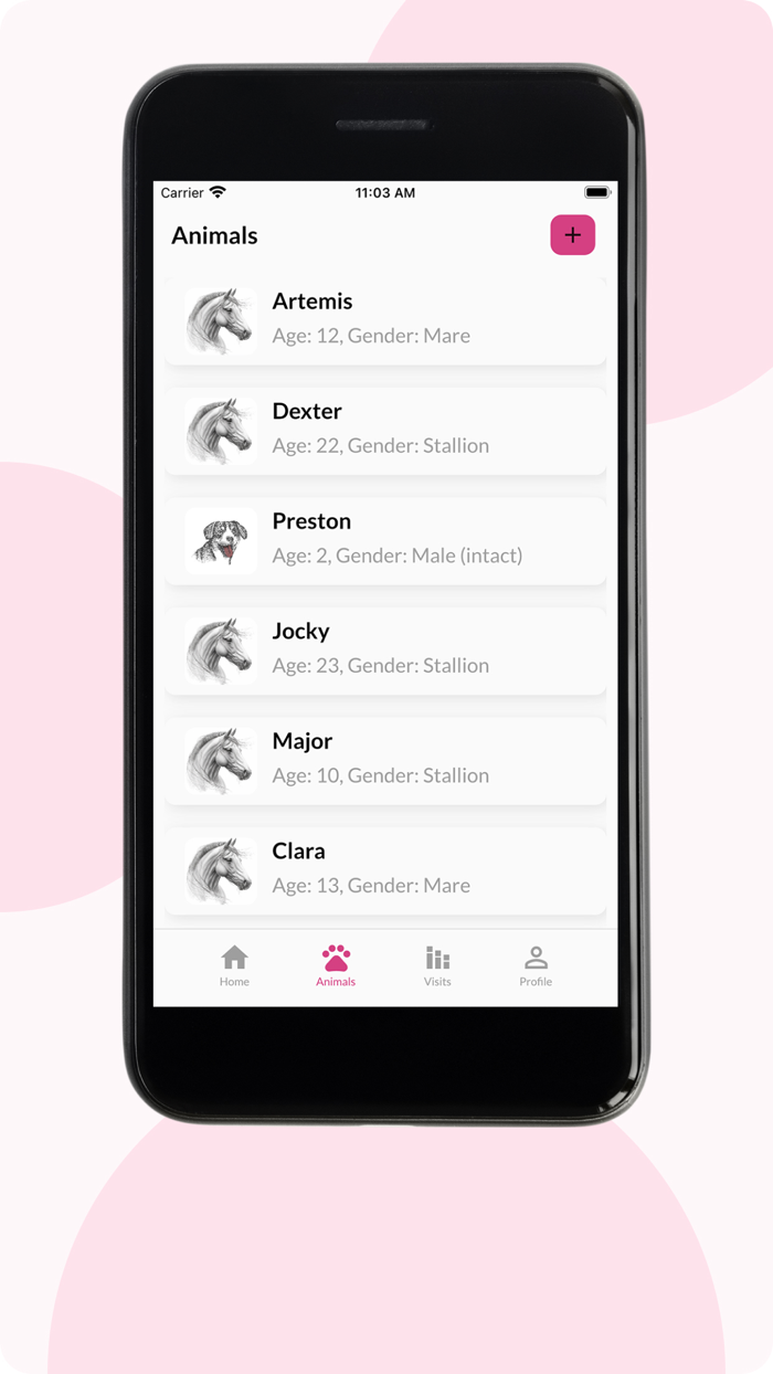 Inhand Equine Therapy