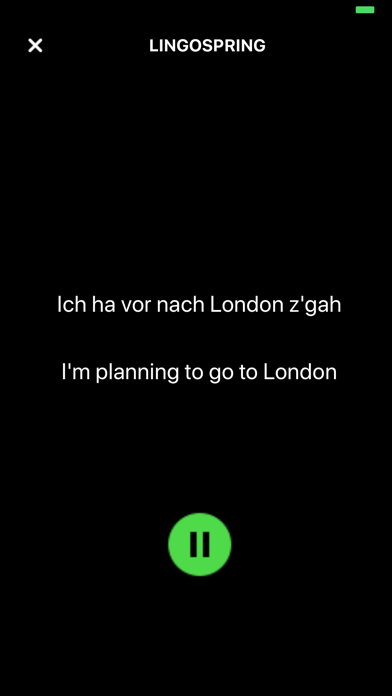 LingoSpring Screenshot