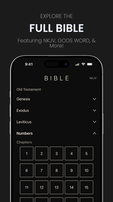 Yshua Scripture iPhone screenshot 5 - Reference app