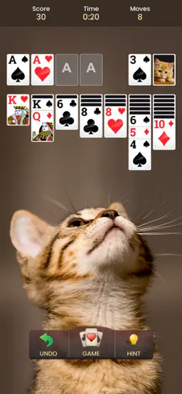 Game screenshot Solitaire - The #1 Card Game apk